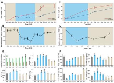 Transcriptome dynamics in Artemisia annua provides new insights into cold adaptation and de-adaptation